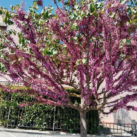 Appartamento Via Della Musica Vicchio Esterno foto